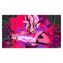 Bandai Namco Dragon Ball FighterZ Physical Video Games - Nintendo Switch