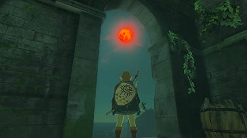 The Legend of Zelda: Tears of the Kingdom