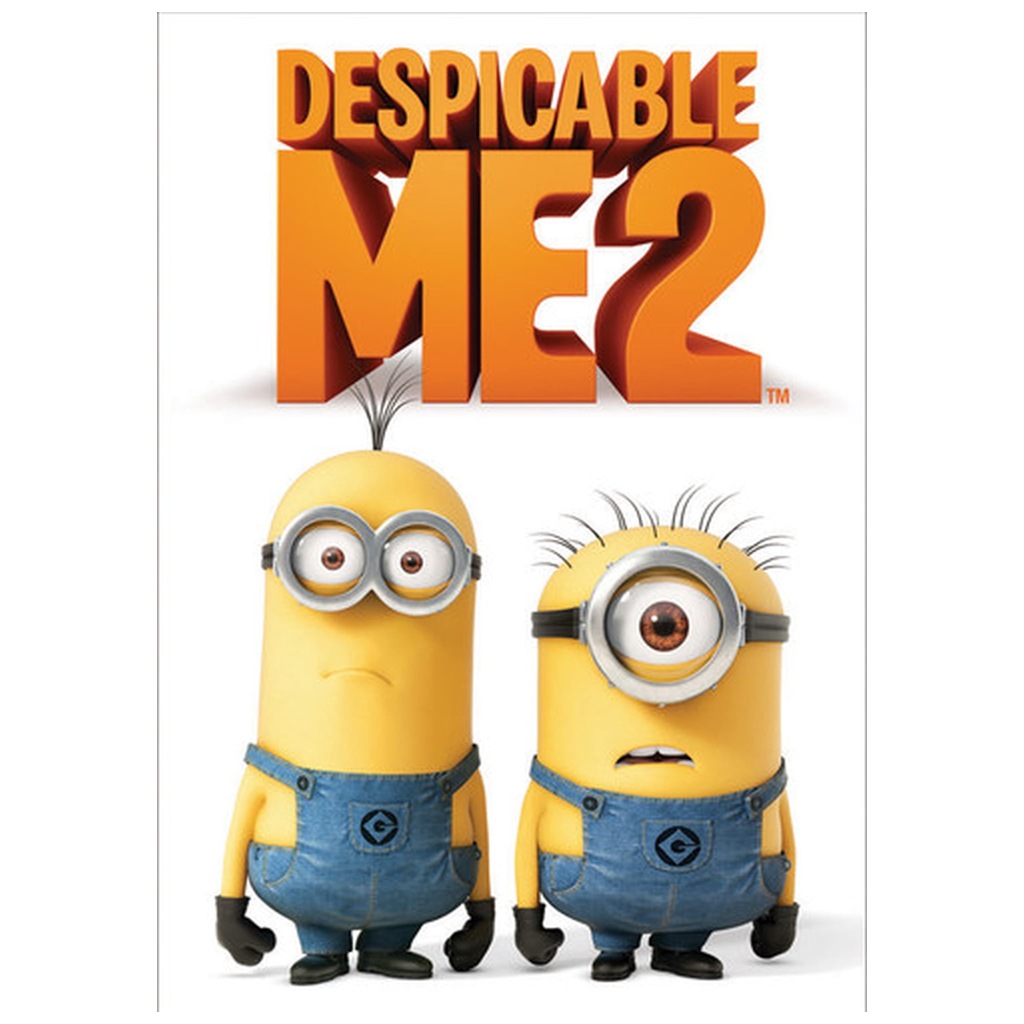 Despicable Me 2 DVD