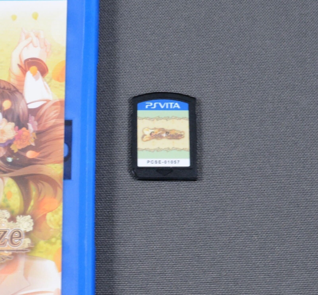 PSVU-CODE: REALIZE FUTURE BLESSINGS (CHIP ONLY)