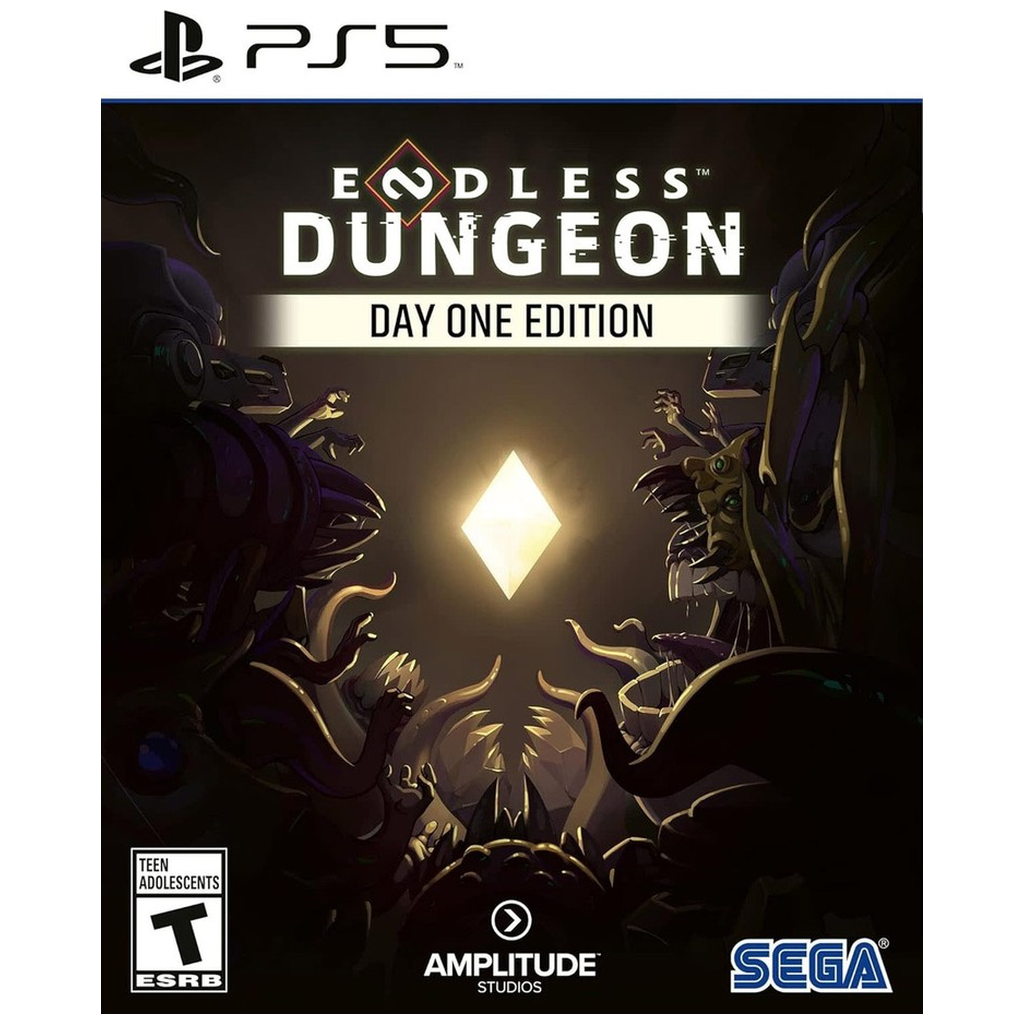 PS5-ENDLESS DUNGEON