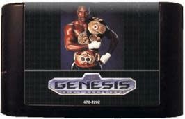 SGU-EVANDER HOLYFIELD REAL DEAL BOXING (CARTRIDGE)